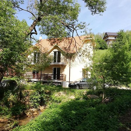 Vila Vrh Crni Vrh Esterno foto