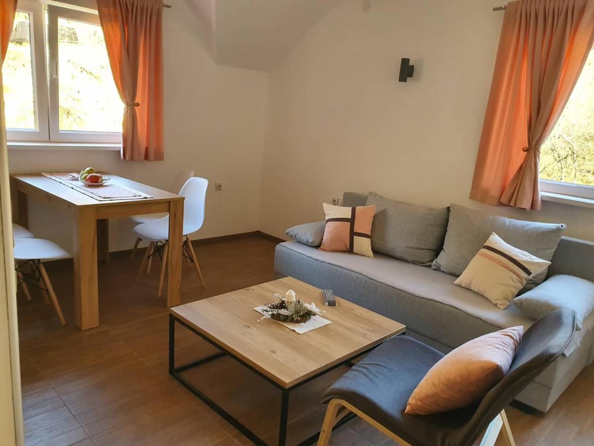 Vila Vrh Crni Vrh Esterno foto