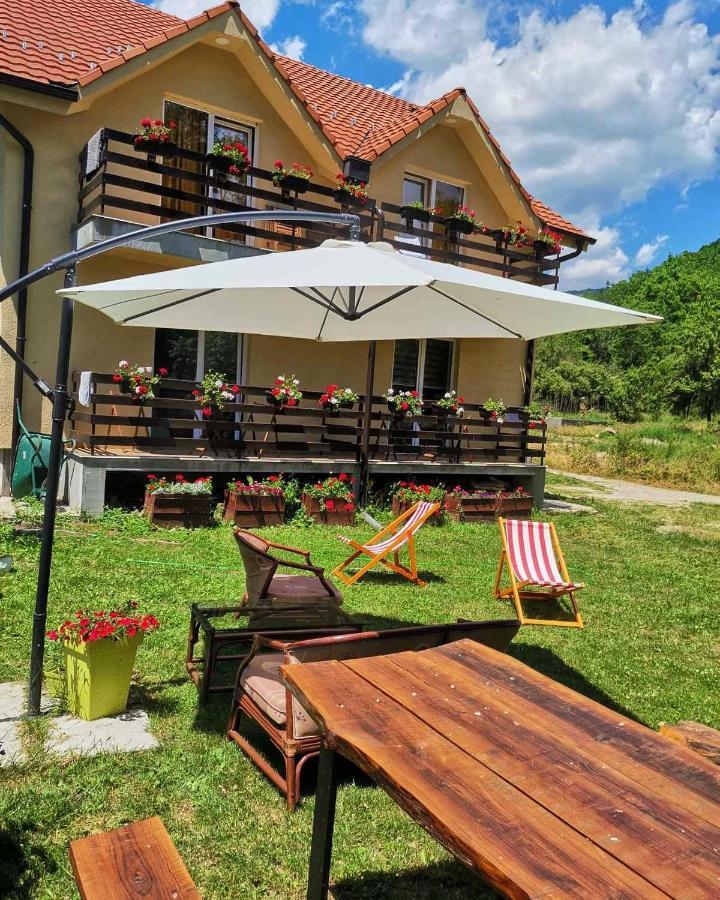 Vila Vrh Crni Vrh Esterno foto