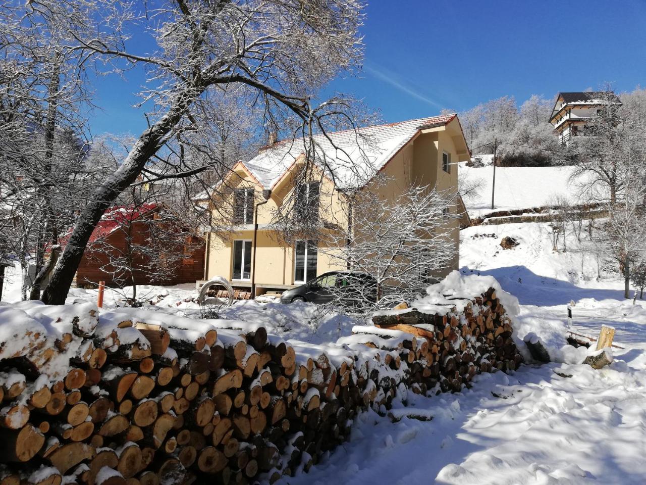 Vila Vrh Crni Vrh Esterno foto