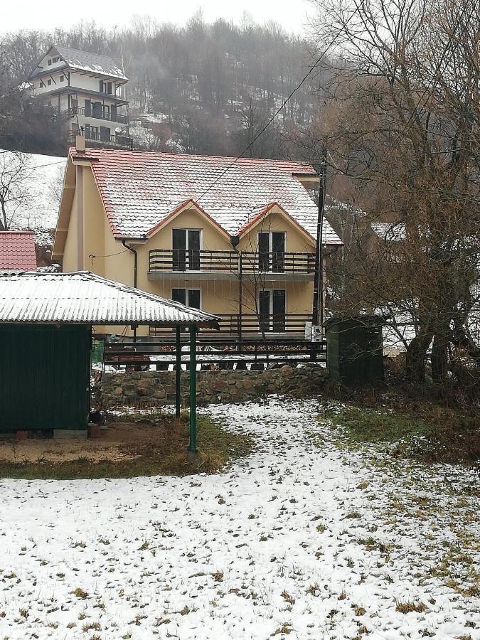 Vila Vrh Crni Vrh Esterno foto